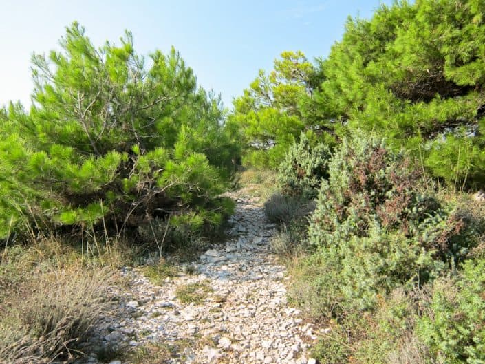 Cape Kamenjak path