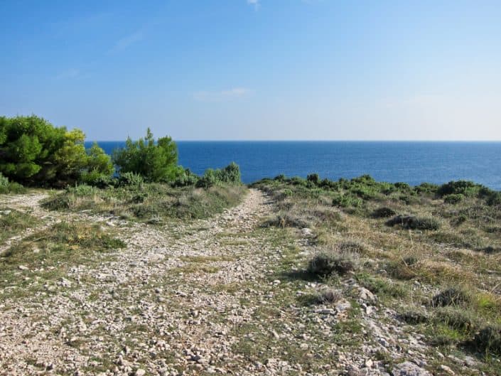 Cape Kamenjak view