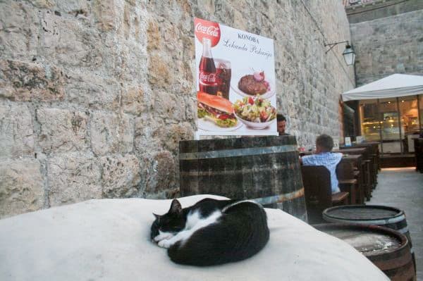 Dubrovnik Photos - Sleeping cat