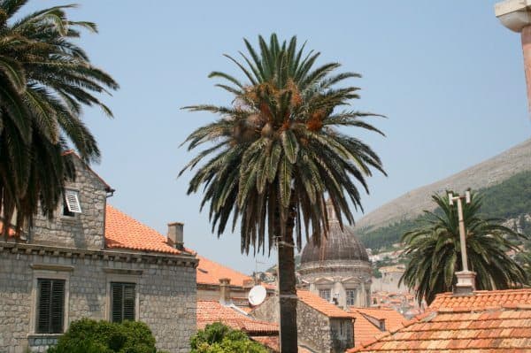 Dubrovnik Photos - Old Town Walls view