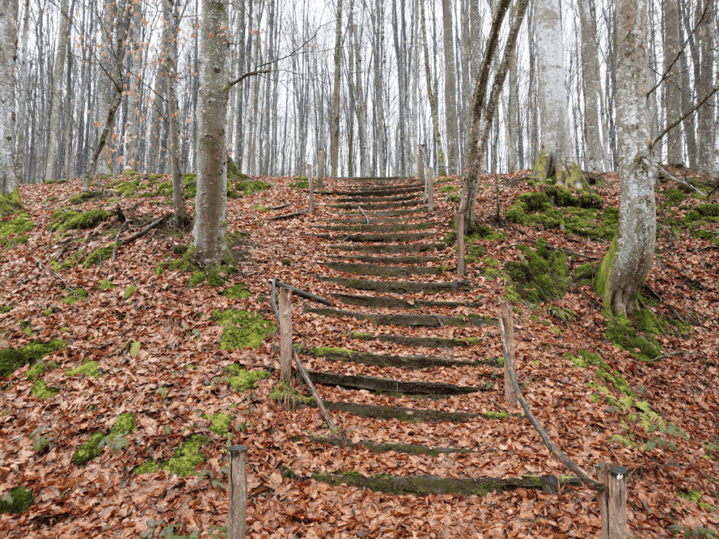 Steps to the Partisan Hospital complex