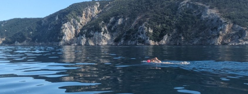 Open water swimming in Croatia - Cres