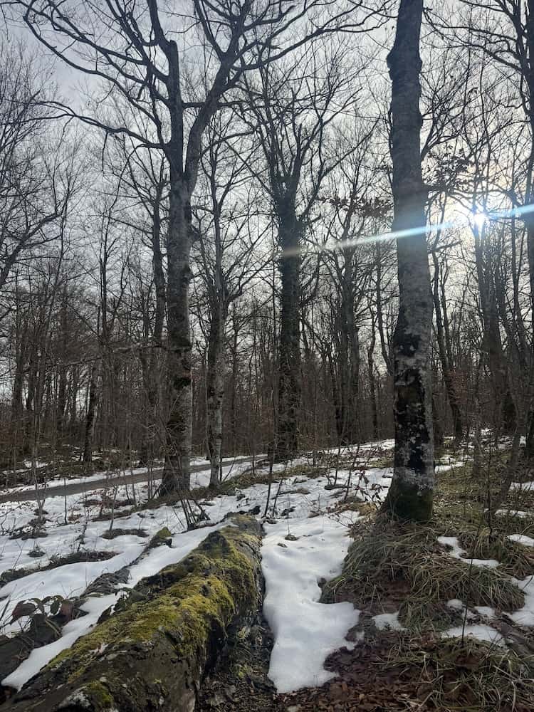 Snow in the Plitvice Lakes - Plitvice Lakes in Winter
