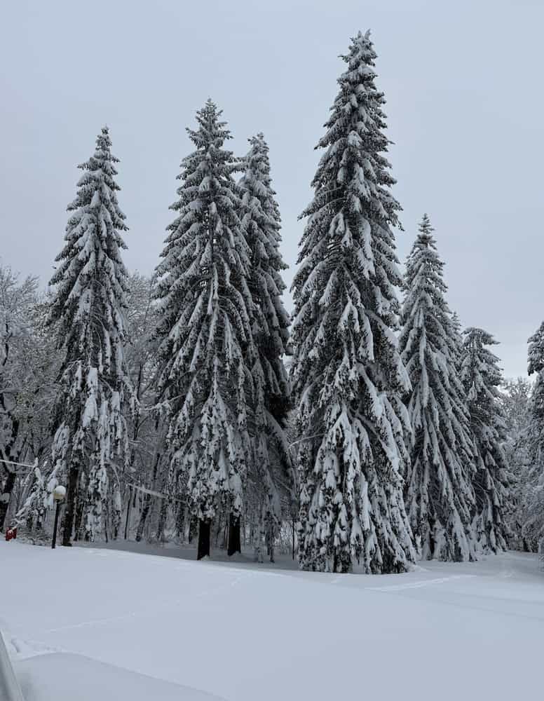 Plitvice Lakes in the snow