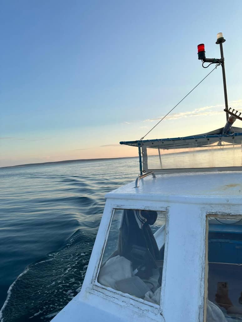 Fishing trips in the local waters of Šimuni