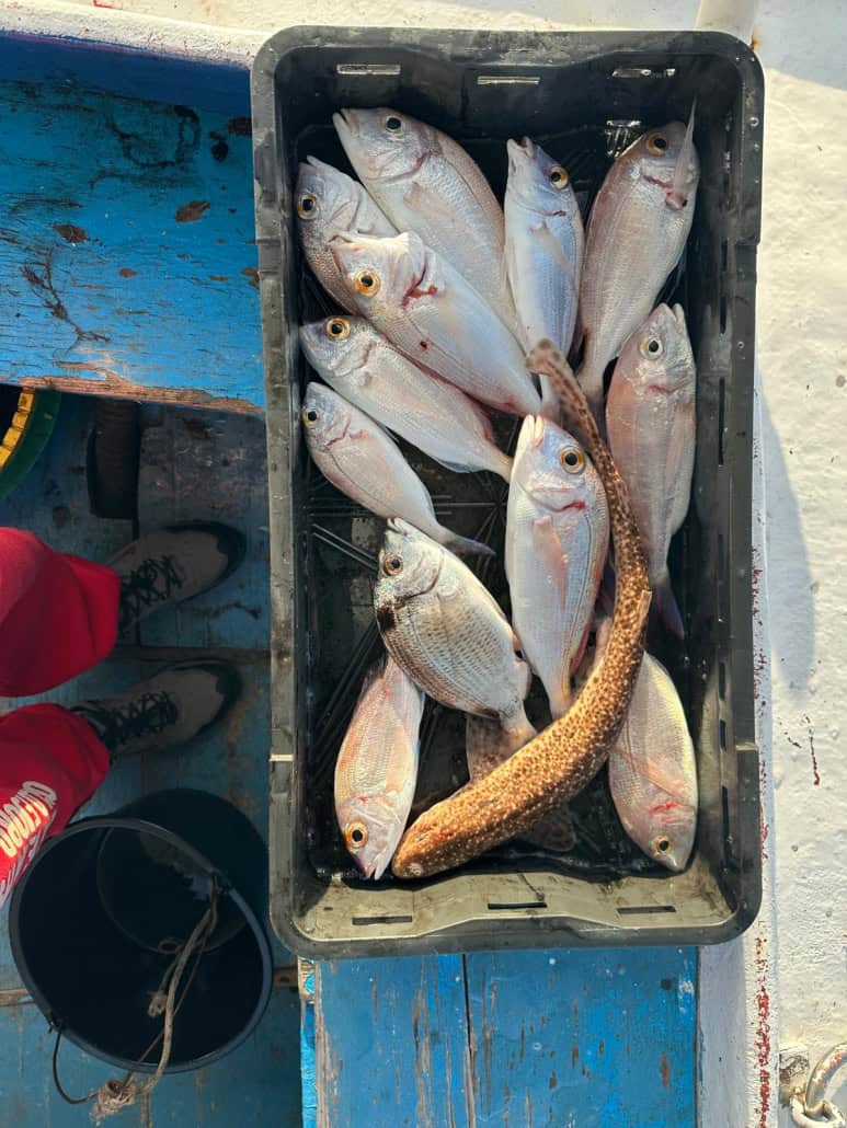 Fresh catch from local waters