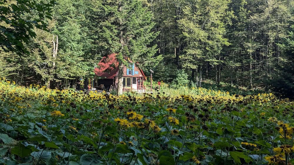 Bitoraj hut