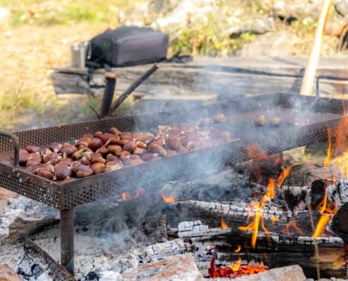 Roasting chestnuts at Kestenijada