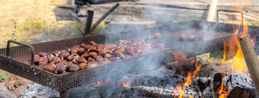 Roasting chestnuts at Kestenijada
