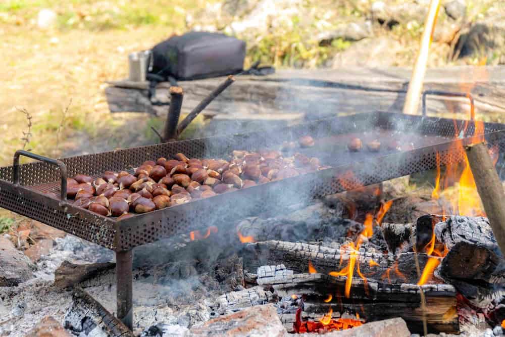 Roasting chestnuts at Kestenijada