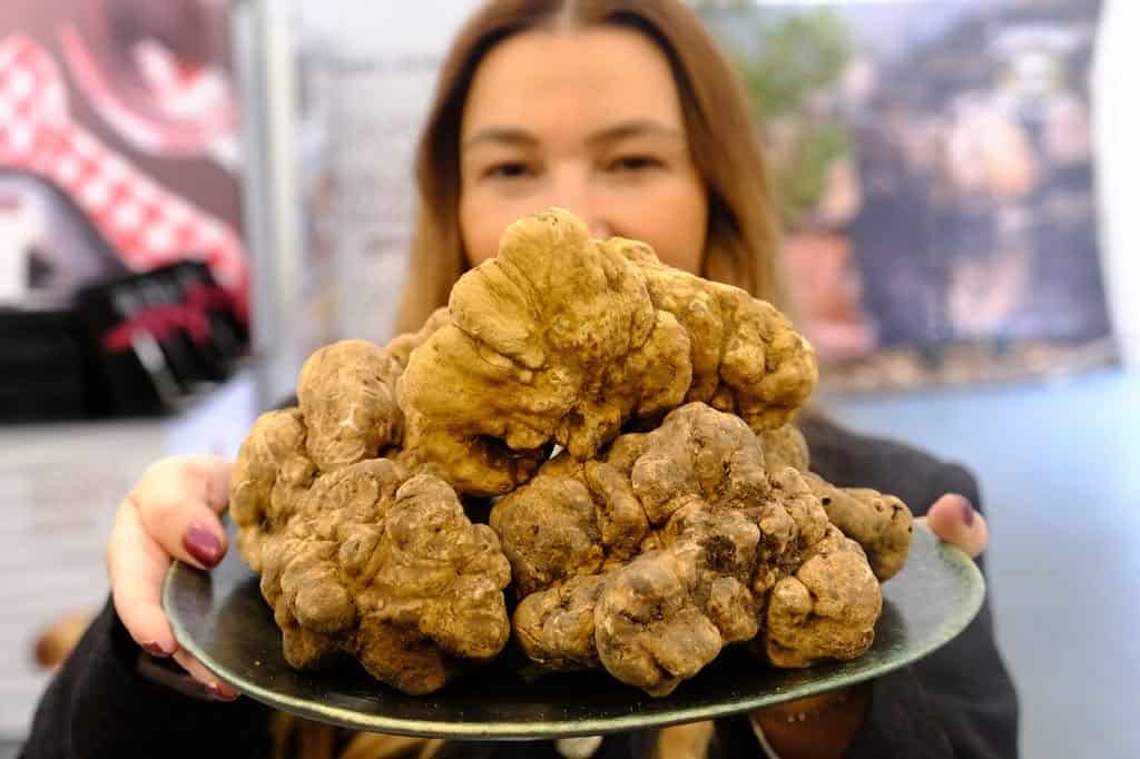 Truffles at Zigante Truffle Days