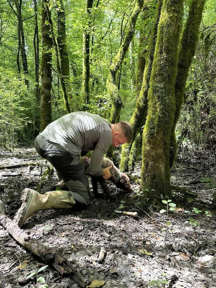 Hunting for truffles in the Motovun Forest